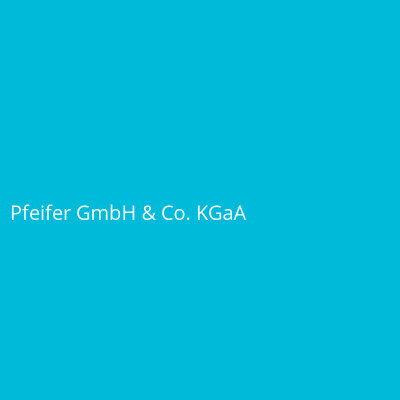 Pfeifer GmbH &amp; Co. KGaA