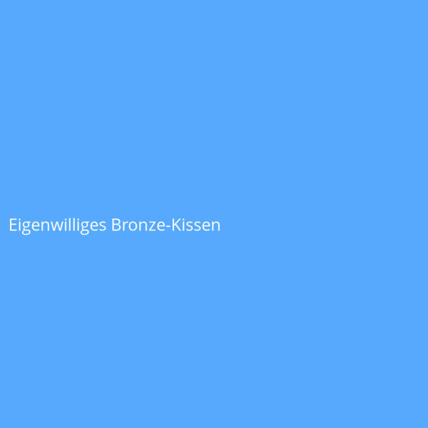 Eigenwilliges Bronze-Kissen