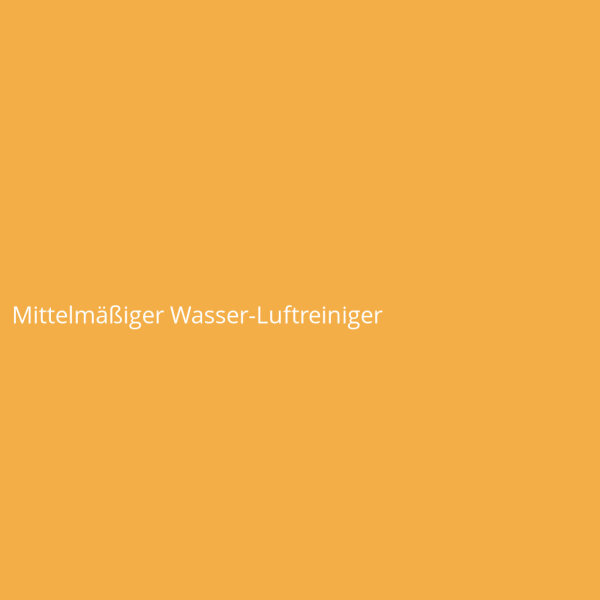 Mittelm&auml;&szlig;iger Wasser-Luftreiniger